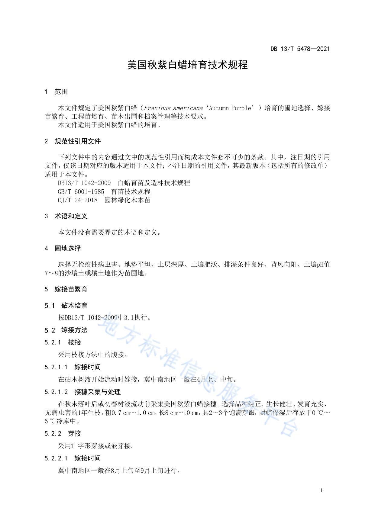 美国秋紫白蜡培育技术规程