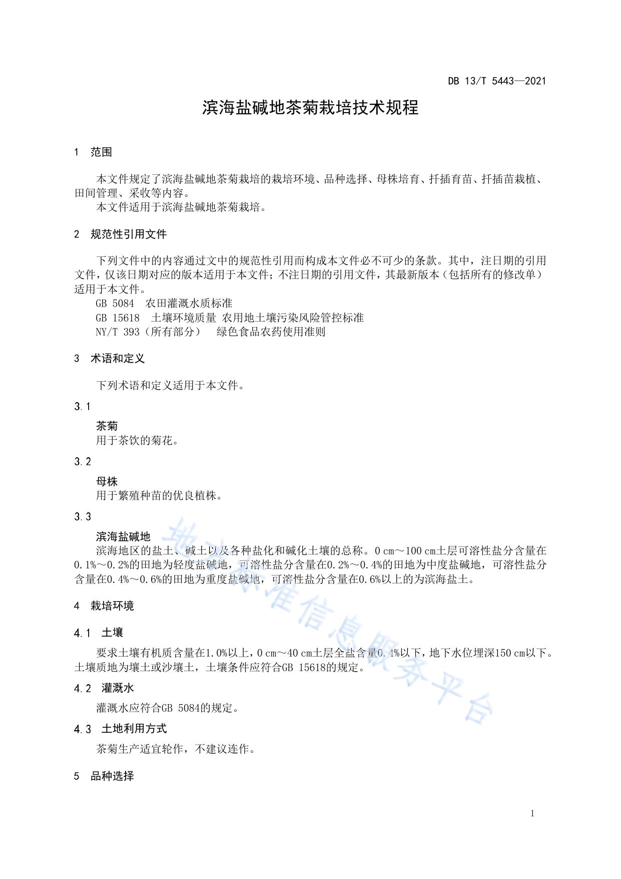 滨海盐碱地茶菊栽培技术规程