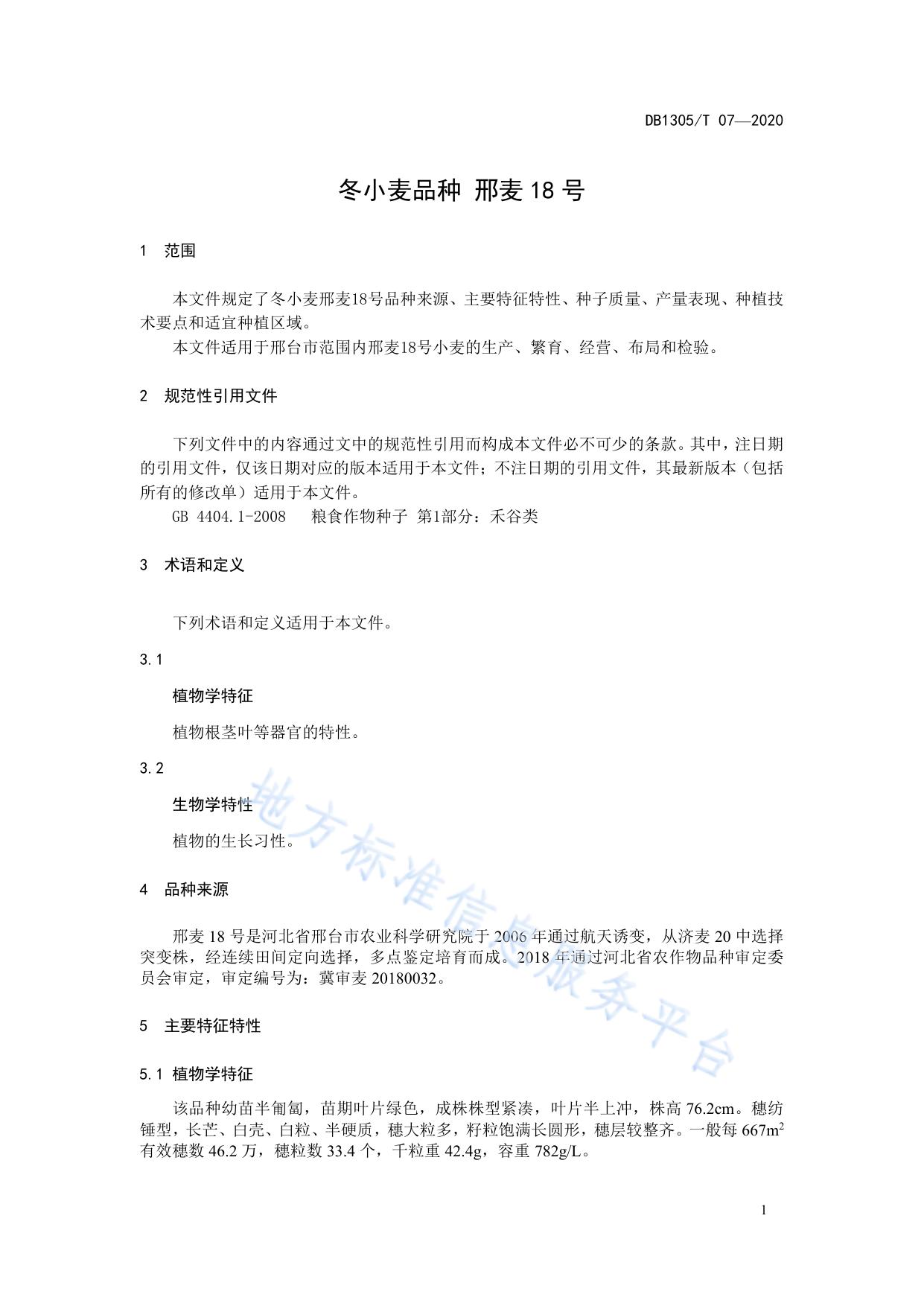 冬小麦新品种 邢麦18号