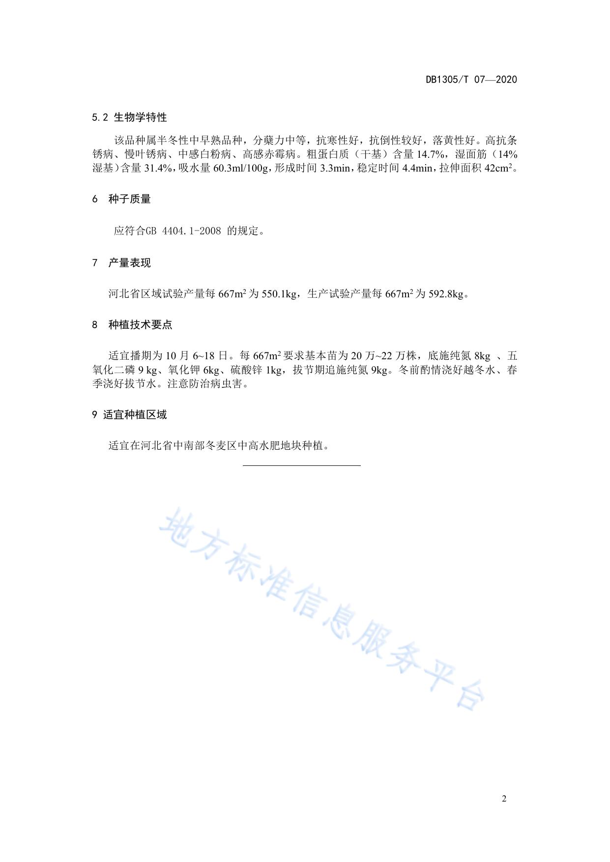 冬小麦新品种 邢麦18号
