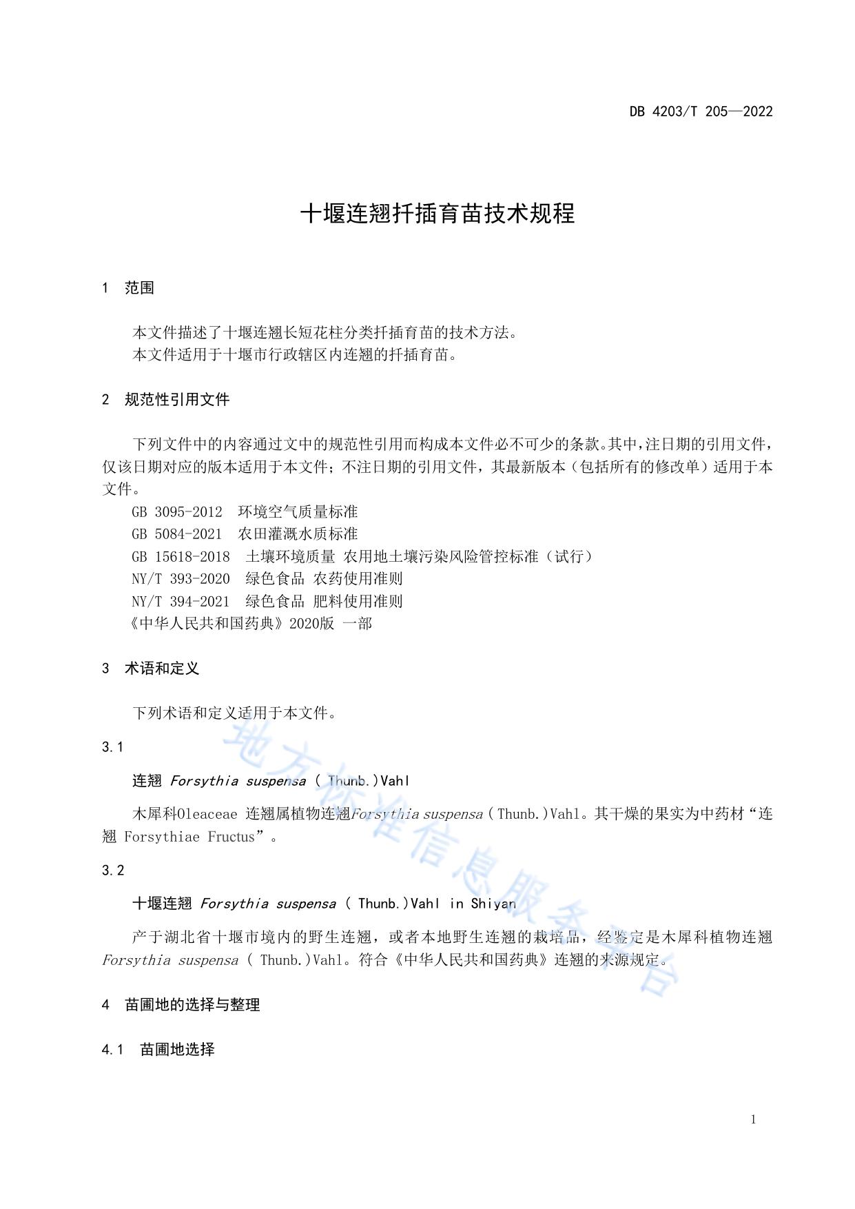 十堰连翘扦插育苗技术规程