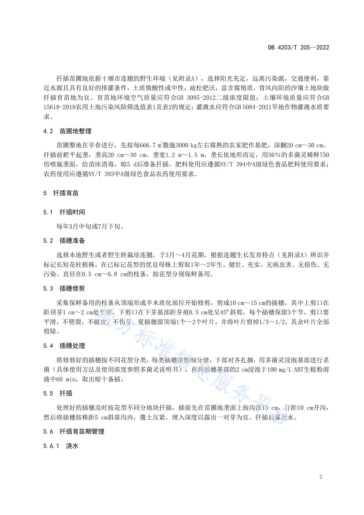 十堰连翘扦插育苗技术规程