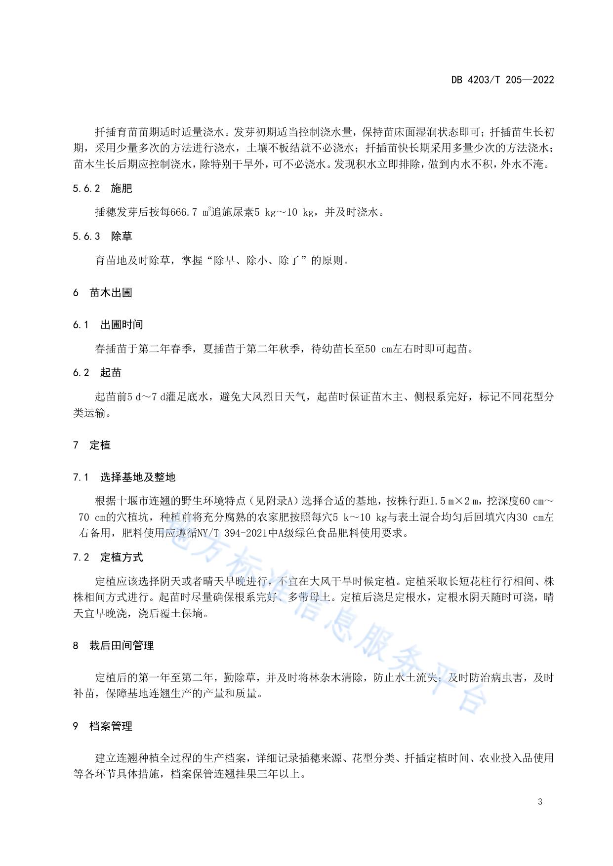 十堰连翘扦插育苗技术规程