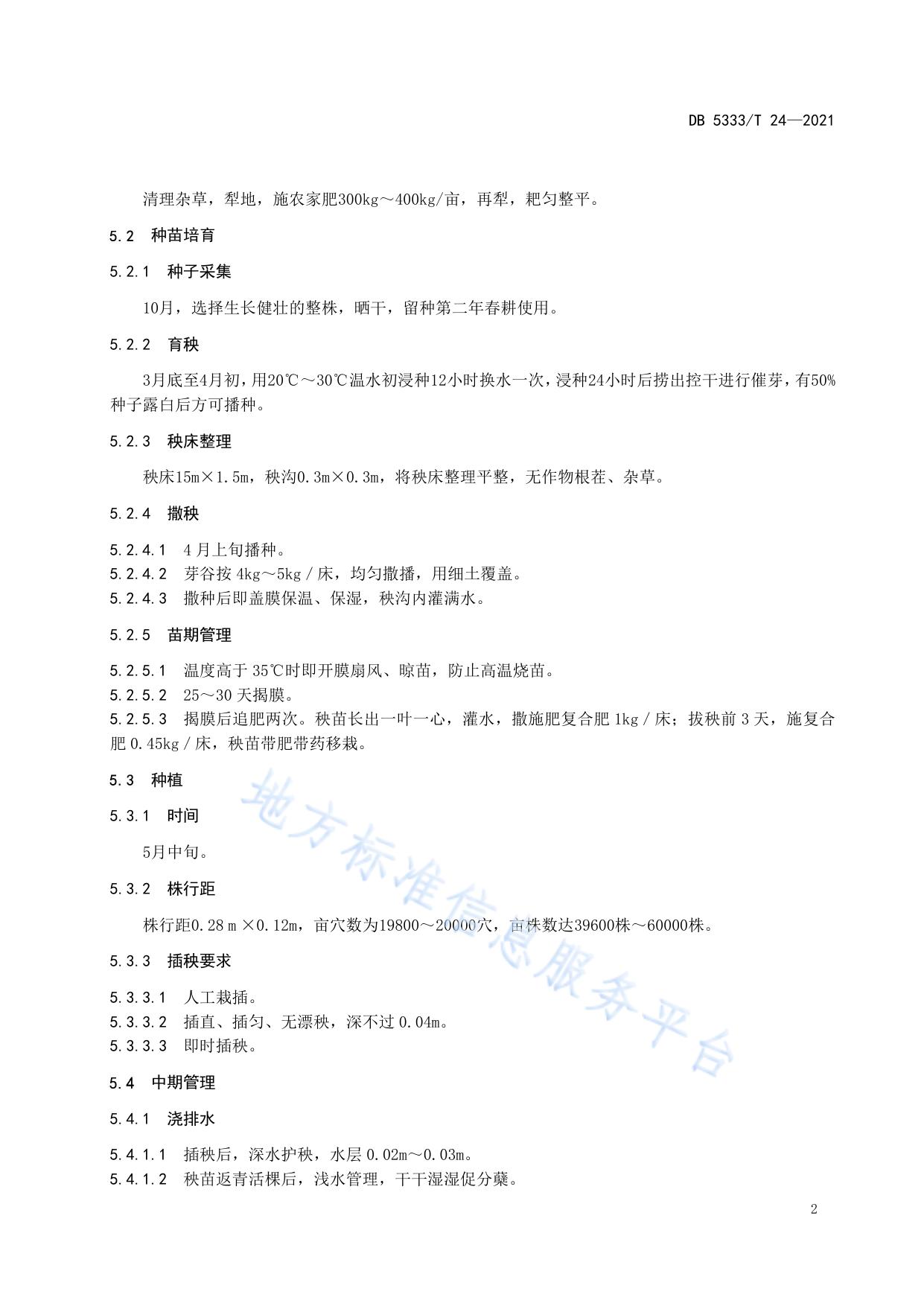 《沧江红米栽培技术规程》