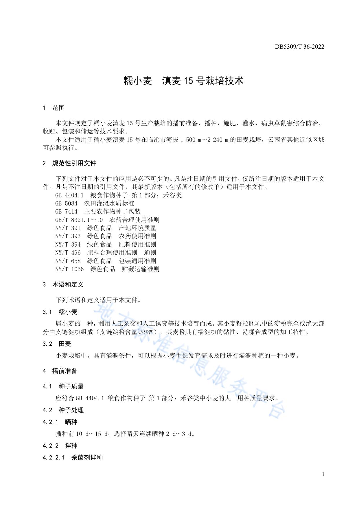 糯小麦 滇麦15号栽培技术