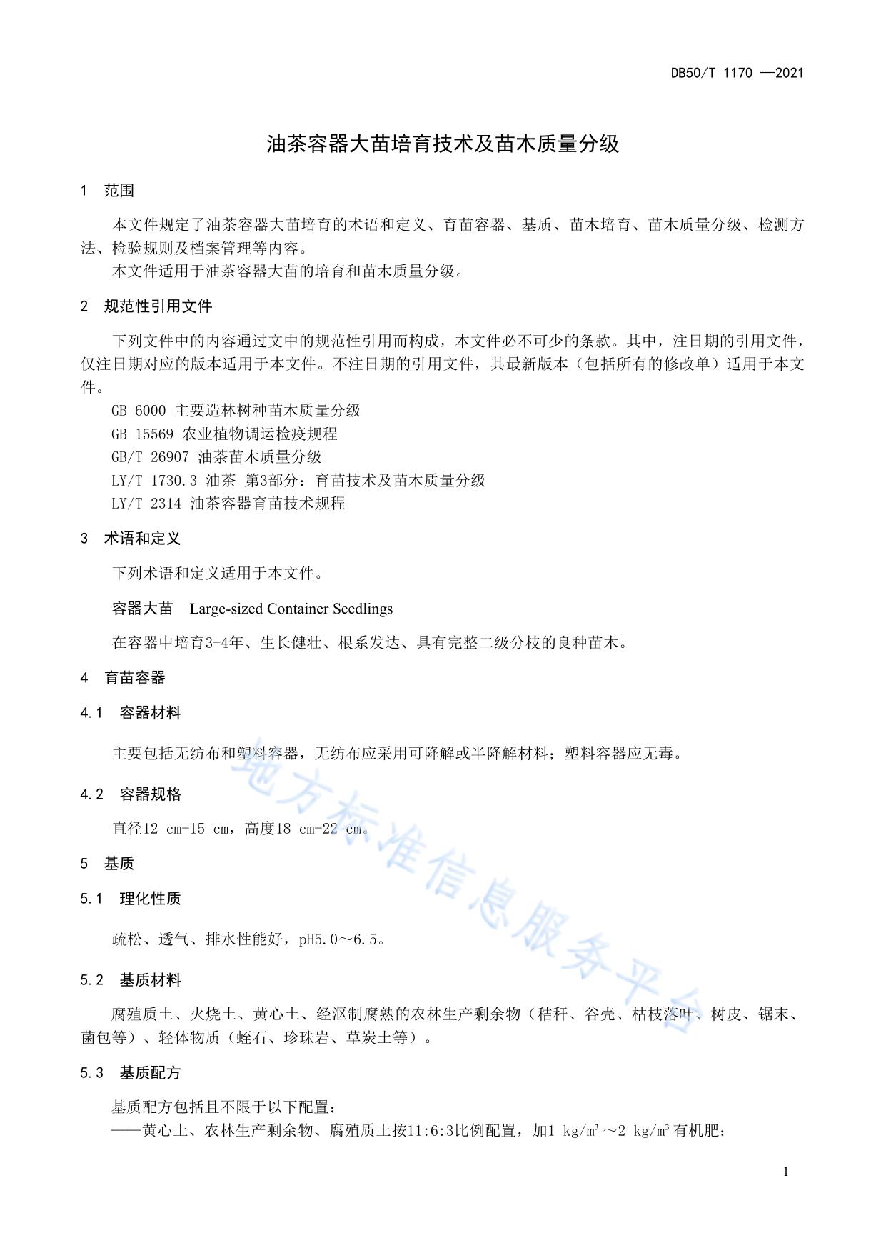 油茶容器大苗培育技术及苗木质量分级