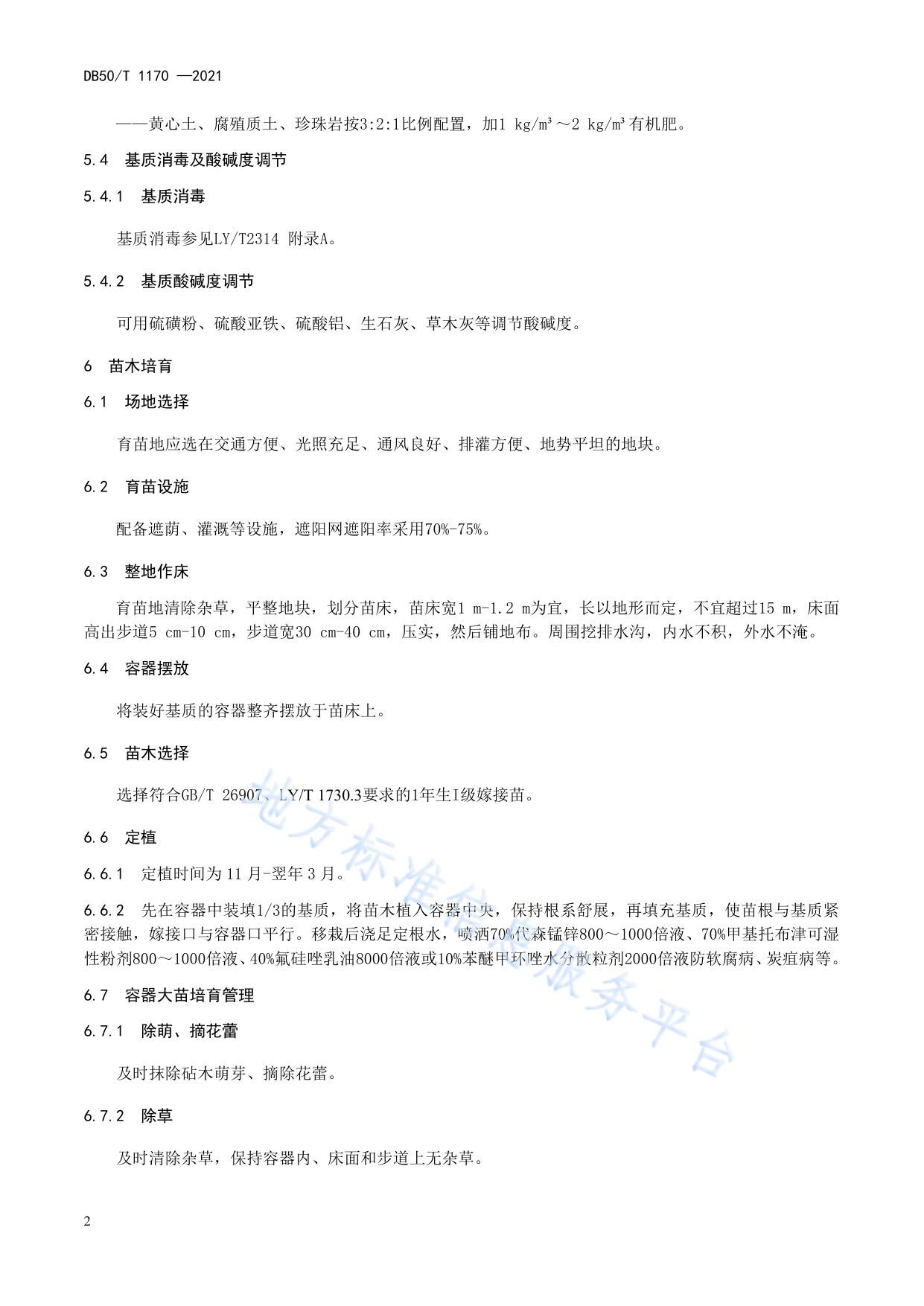 油茶容器大苗培育技术及苗木质量分级