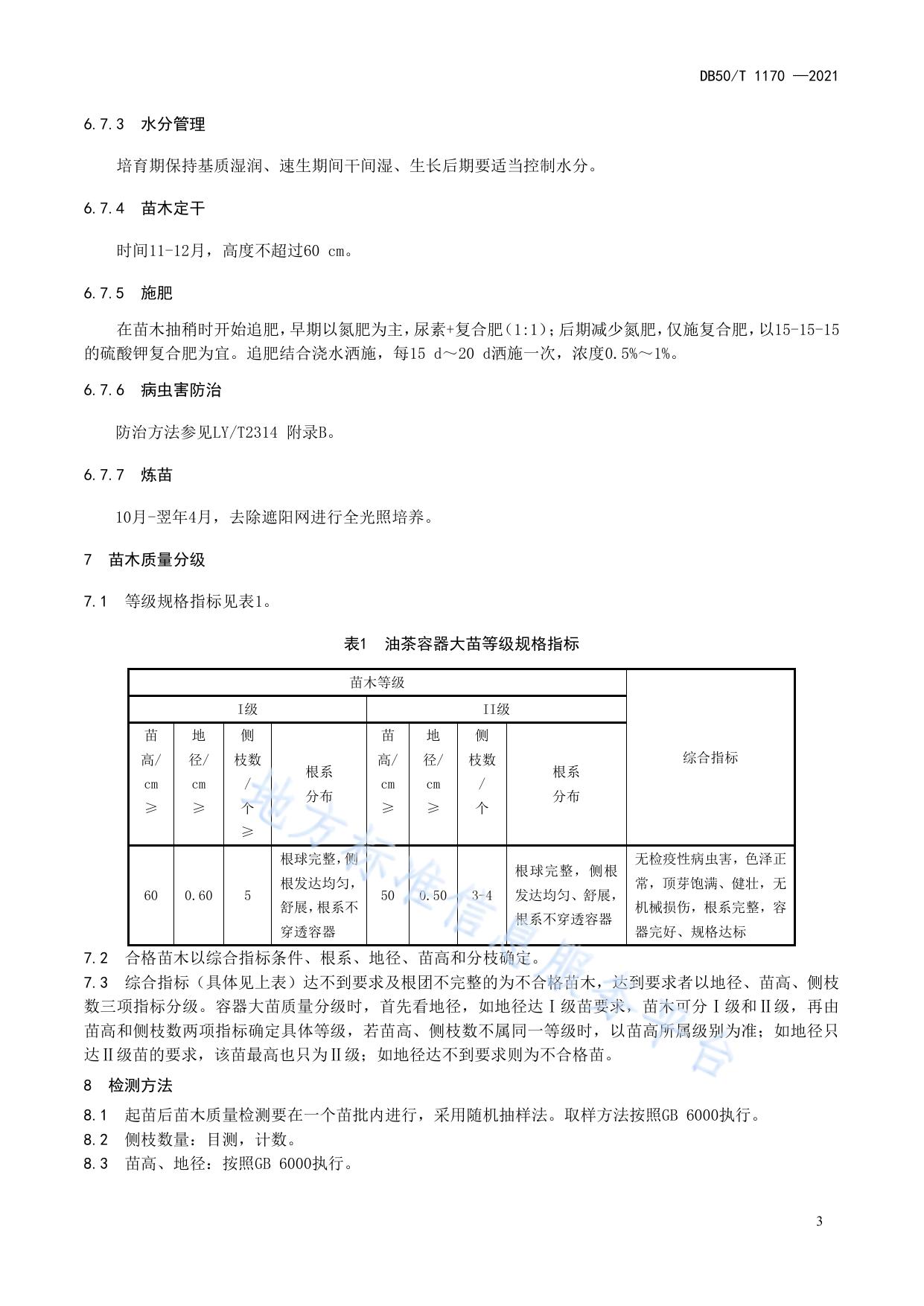 油茶容器大苗培育技术及苗木质量分级