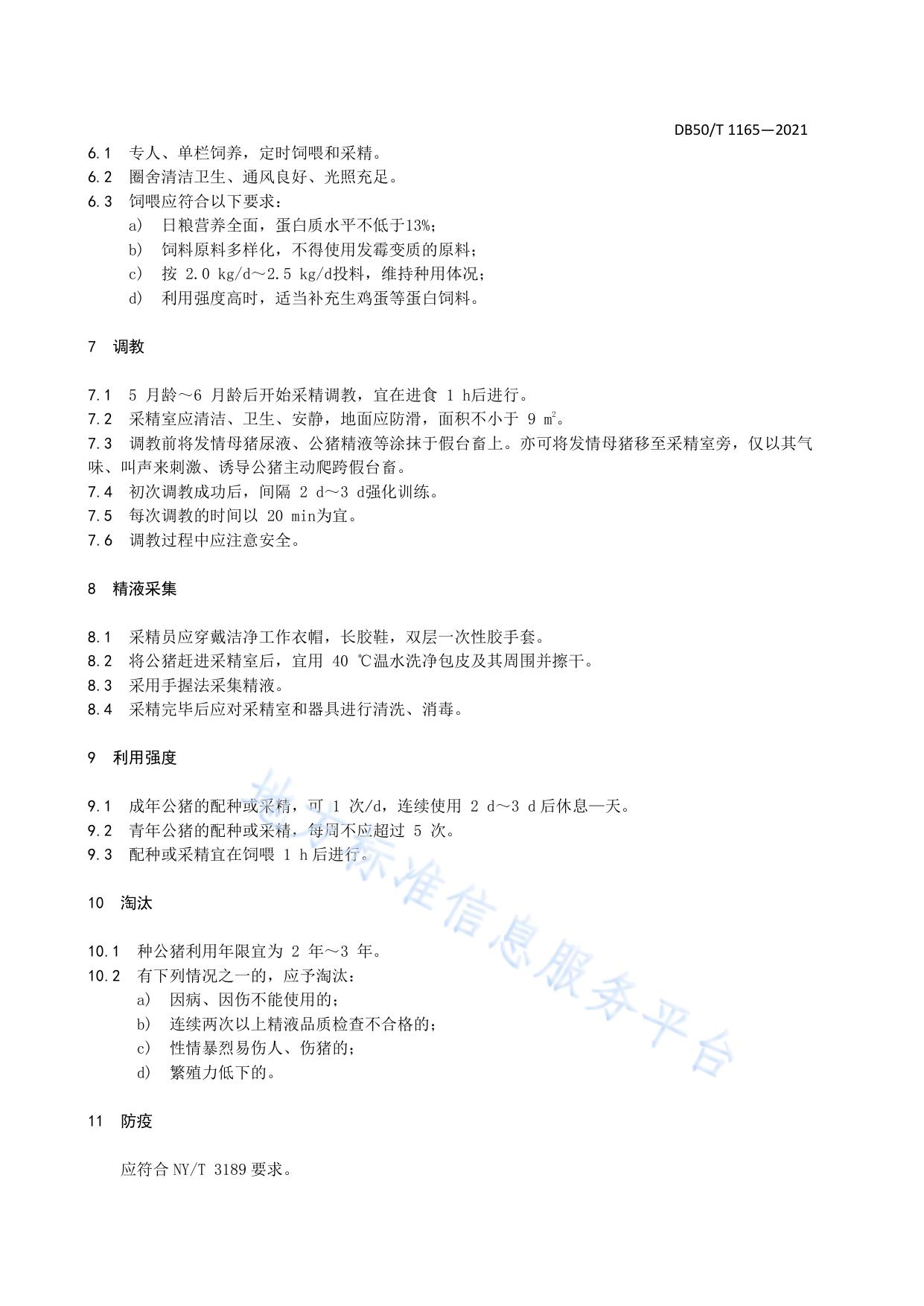 荣昌猪 种公猪饲养管理技术规范
