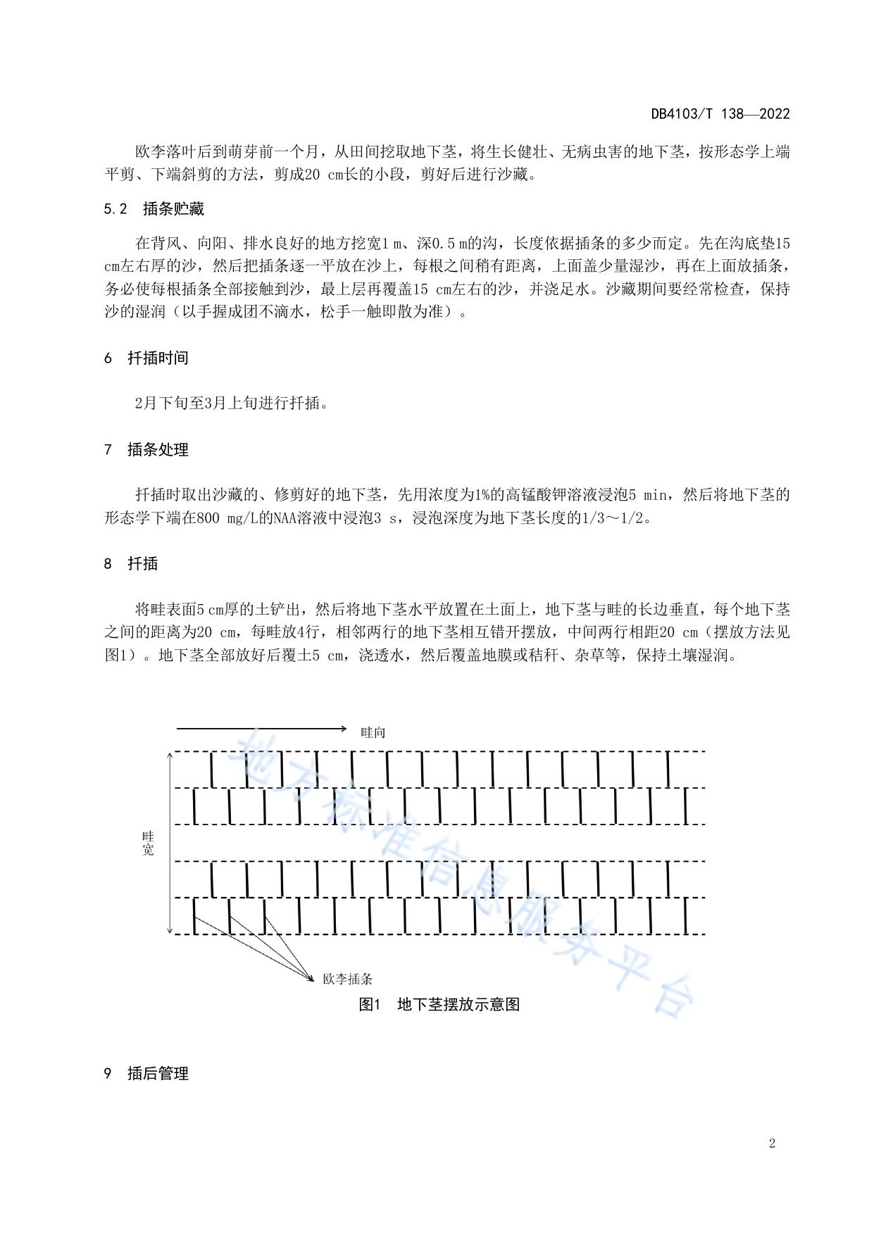 欧李地下茎扦插育苗技术规程