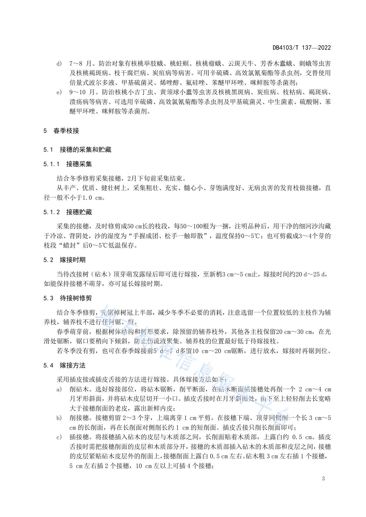 核桃大树多头改接技术规程