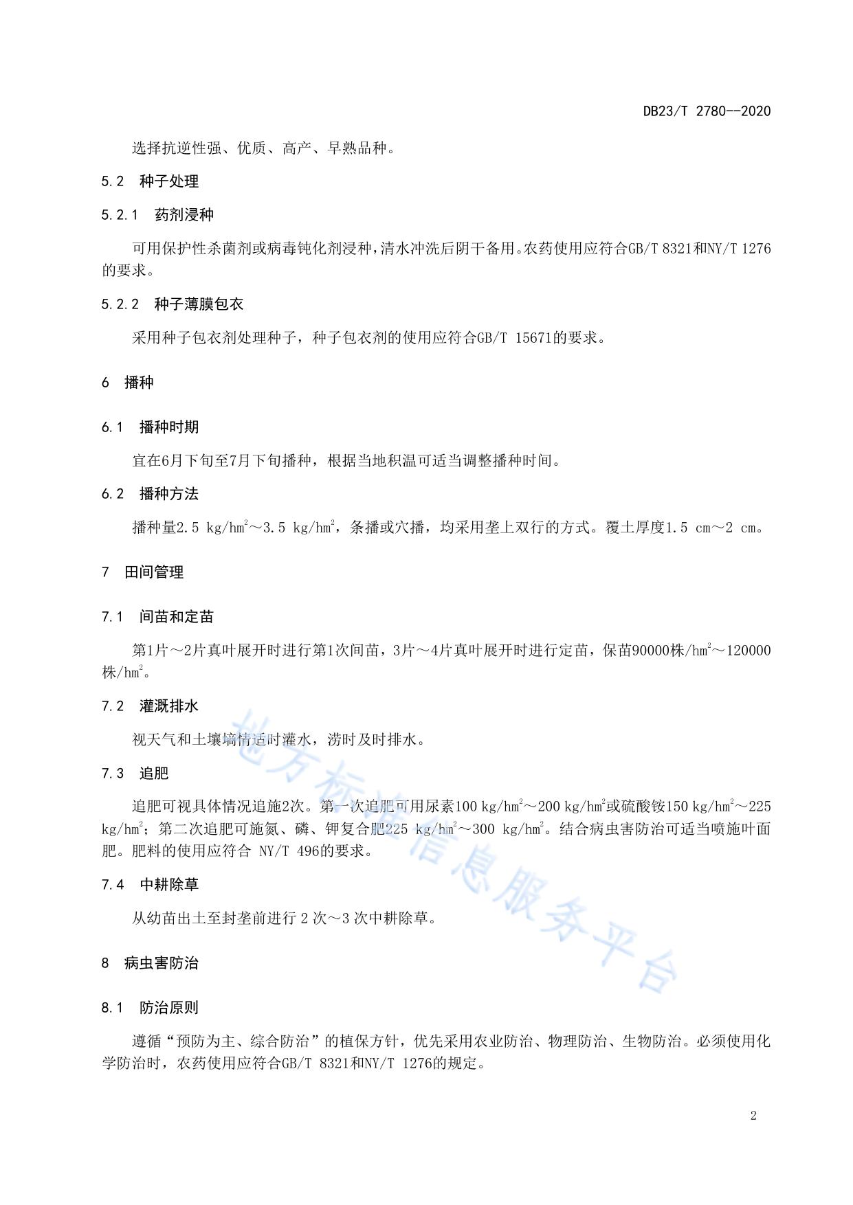 根用芥菜栽培产技术规程