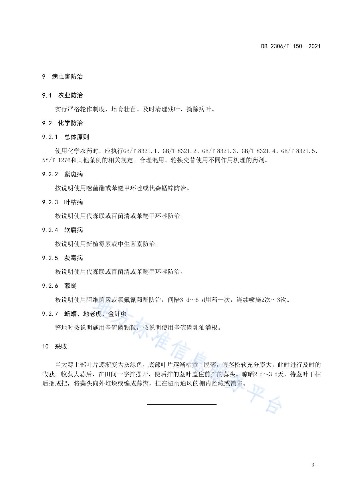 大蒜生产技术规程