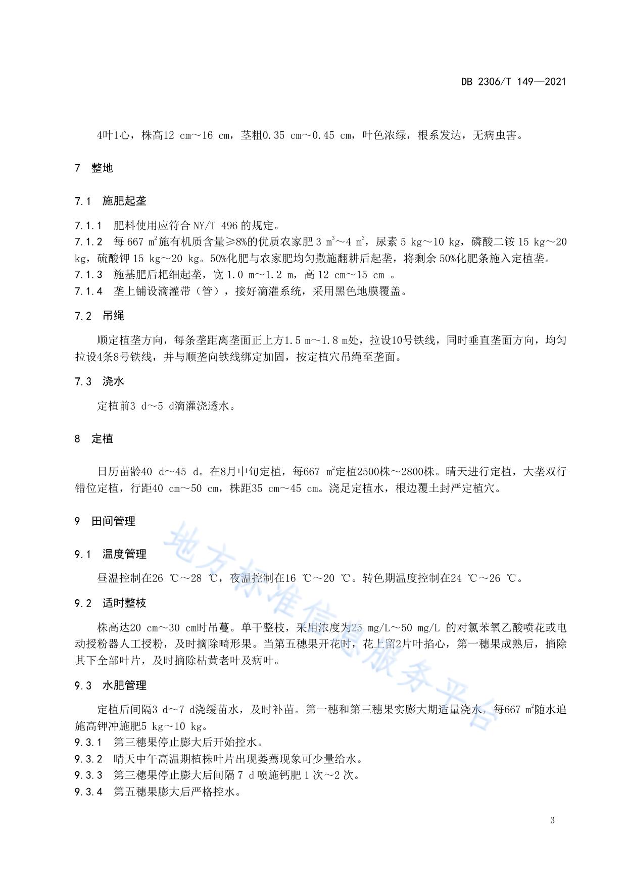 温室水果番茄越冬生产技术规程